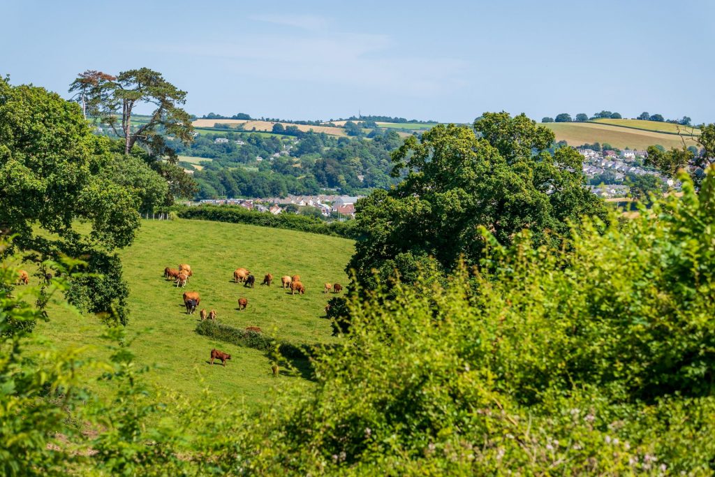 Interior design by Park Grove Design at The Priory Retirement Village, Abbotskerswell