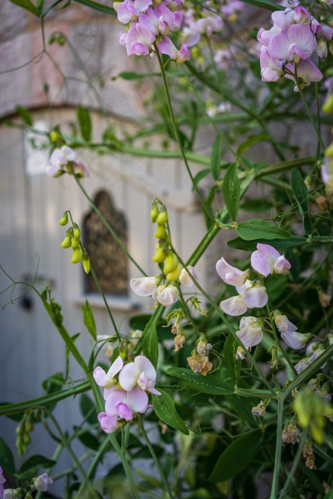 Interior Design Photographer - Sue Vaughton - showcasing Park Grove Design inspired interiors at The Priory Retirement Village in Abbotskerswell
