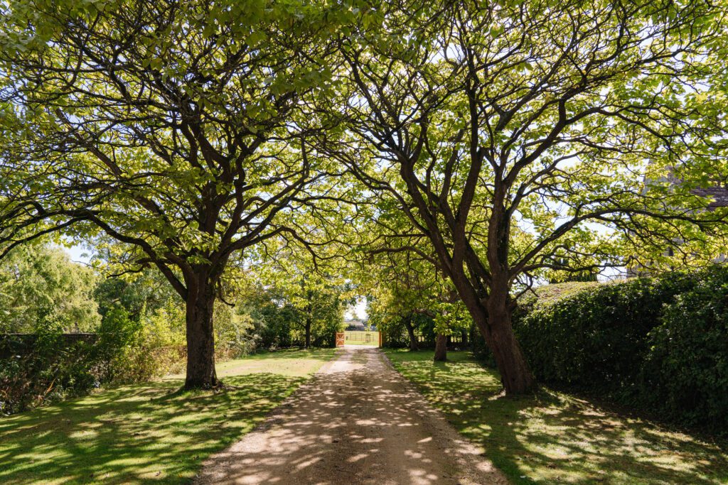 Forest Solar & Electrical Services – aerial and architectural ground photography of commercial and industrial electrical service installations by Sue Vaughton